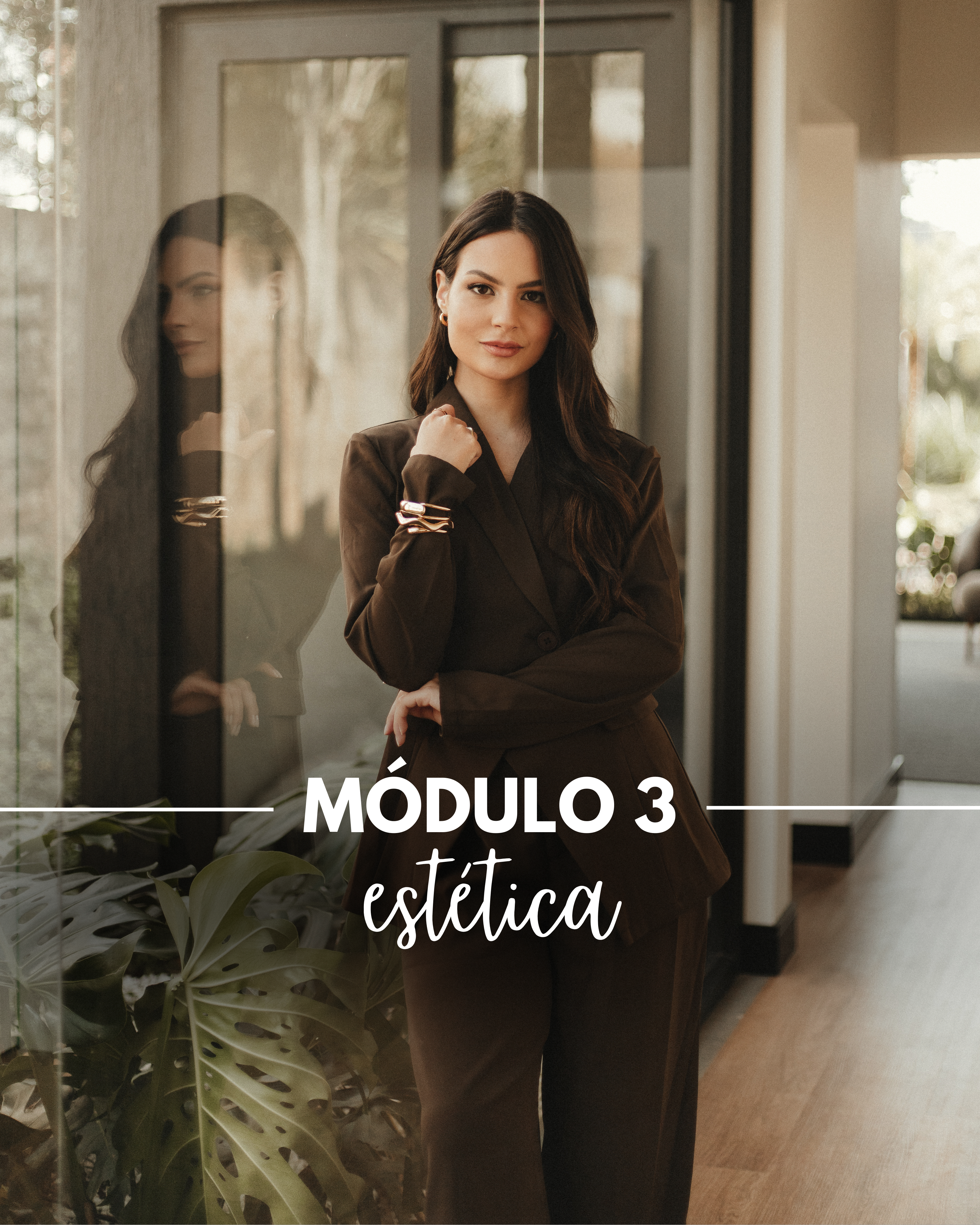Módulo 3 - Estética
